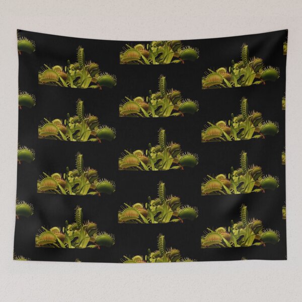 Item preview, Venus Fly Trap - Carnivorous Plant  designed and sold by LCAppling.