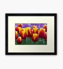 Colours!!!! Framed Print