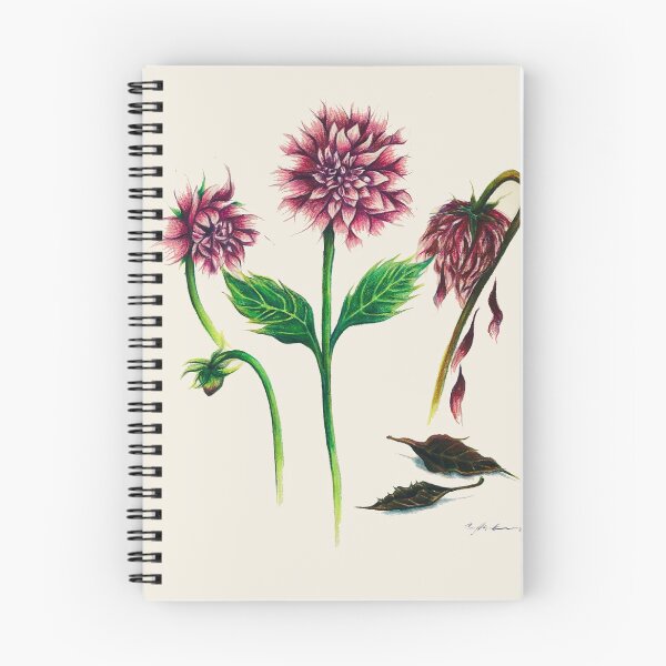 Artikelvorschau, Lebenszyklus einer Dahlienblume entworfen und verkauft von BlueCatPress.