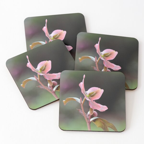 Item preview, Regal designed and sold by Tracy Friesen.