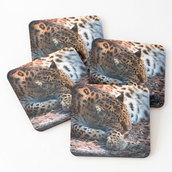 Item preview, Leopard Lies Sleeping Black and White designed and sold by KbytesOfJax Outdoor and Nature.