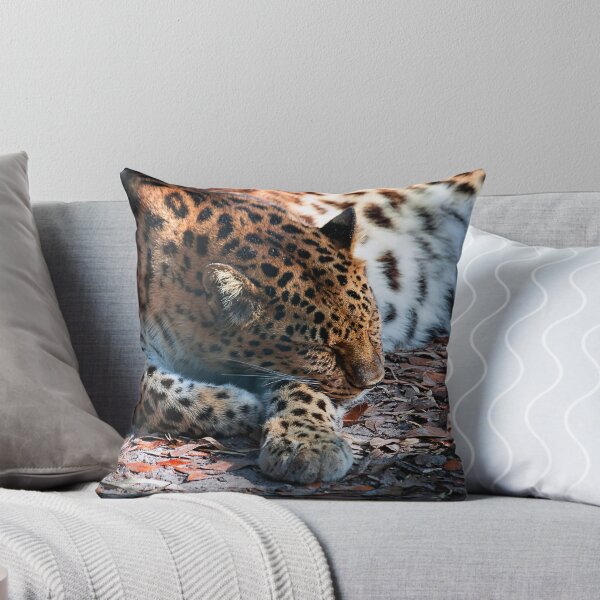 Item preview, Leopardo yace durmiendo en blanco y negro designed and sold by KbytesOfJax Outdoor and Nature.