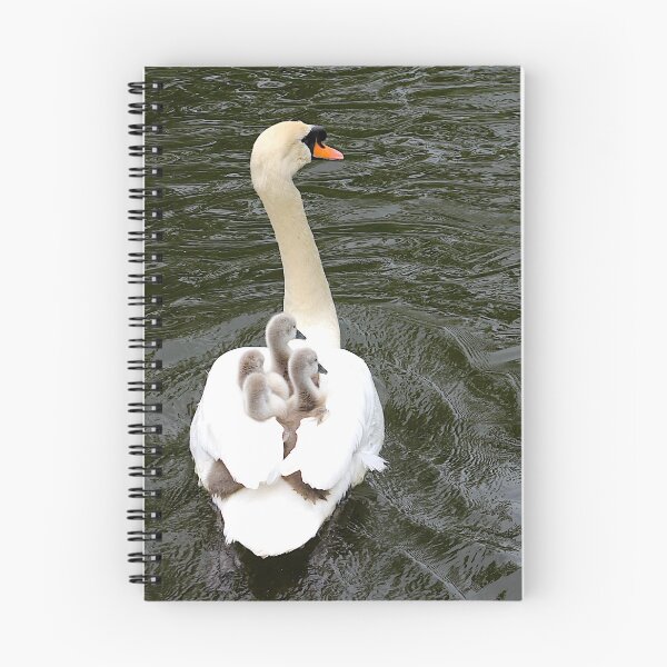 Item preview, Signets on Mum's back designed and sold by TMBPhotography.