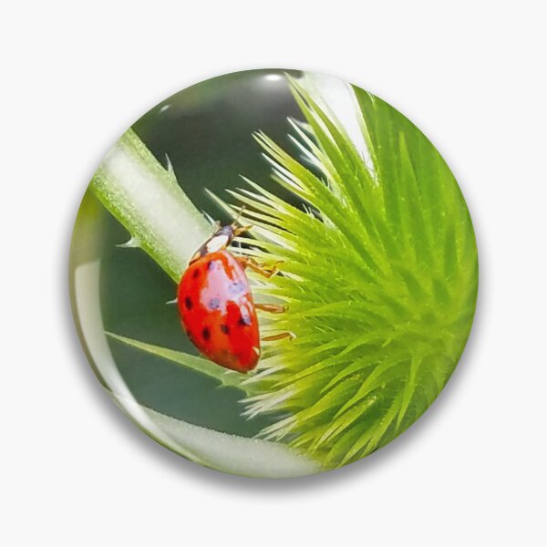 Item preview, The Ladybug Challenge designed and sold by Betty Mackey.