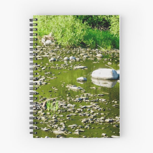 Item preview, Rideau River, Ottawa, ON Canada designed and sold by Shulie1.