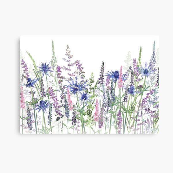 Flower Meadow - Sea Holly, Veronica Flowers, Catmint, Grasses Canvas Print