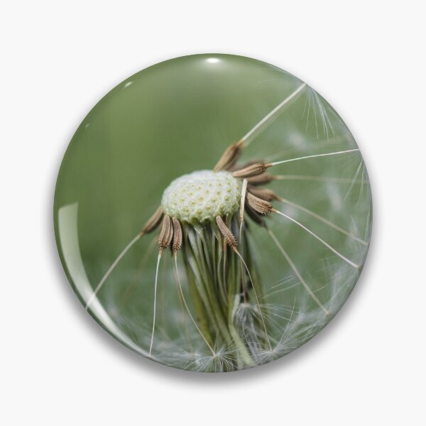 Item preview, Dandelion Detail designed and sold by Tracy Friesen.