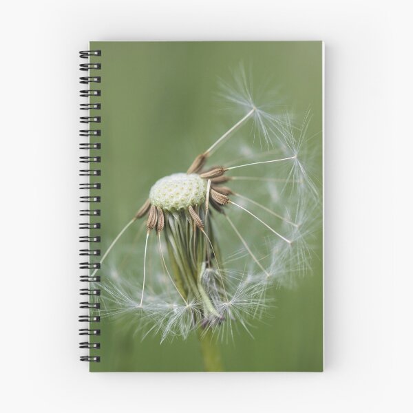 Item preview, Dandelion Detail designed and sold by Tracy Friesen.