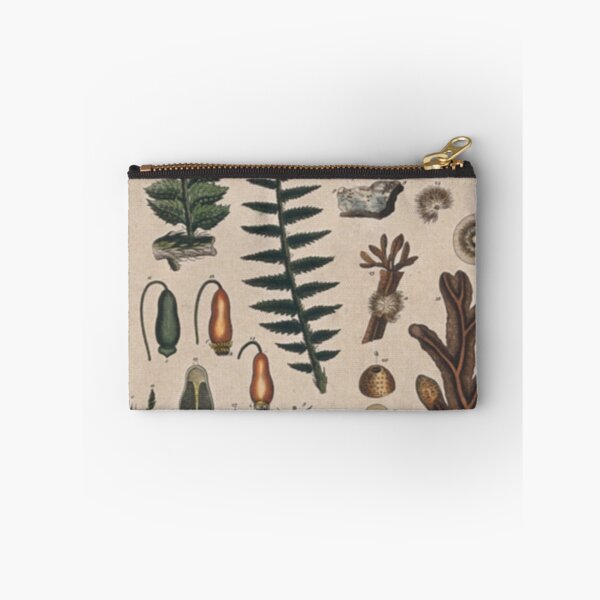 Item preview, Botany Chart designed and sold by BlueSpecsStudio.