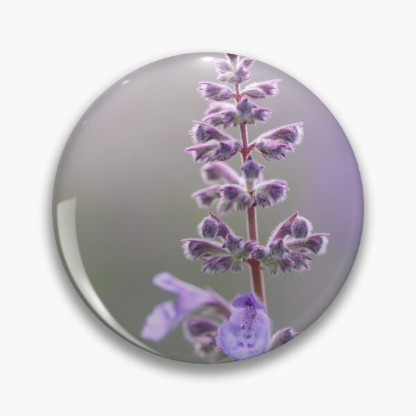 Item preview, Catmint 2 designed and sold by Tracy Friesen.