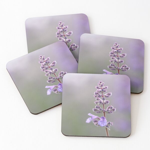 Item preview, Catmint 2 designed and sold by Tracy Friesen.