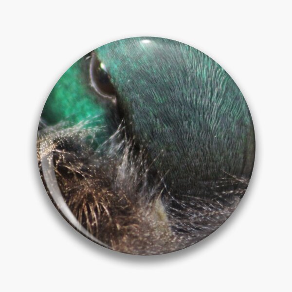 Item preview, Sleepy mallard duck close-up 1 designed and sold by Anna Lemos.