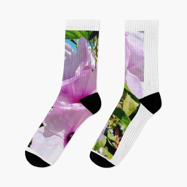 Item preview, Beautiful Pink Summer Flower -  Ipomoea Camea designed and sold by Susan Pfrender.