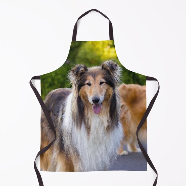 Item preview, Diamond And Gold Collies designed and sold by KarenWoodArt.