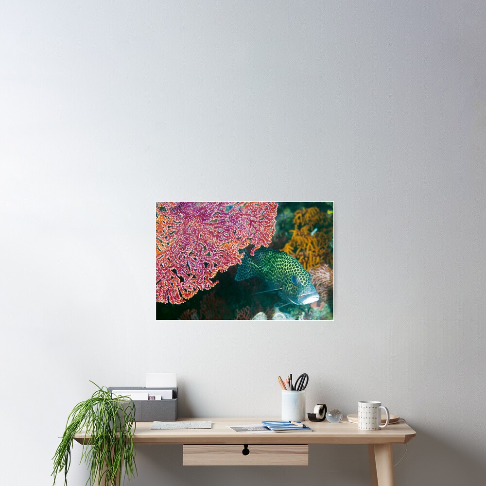 Spot Poster