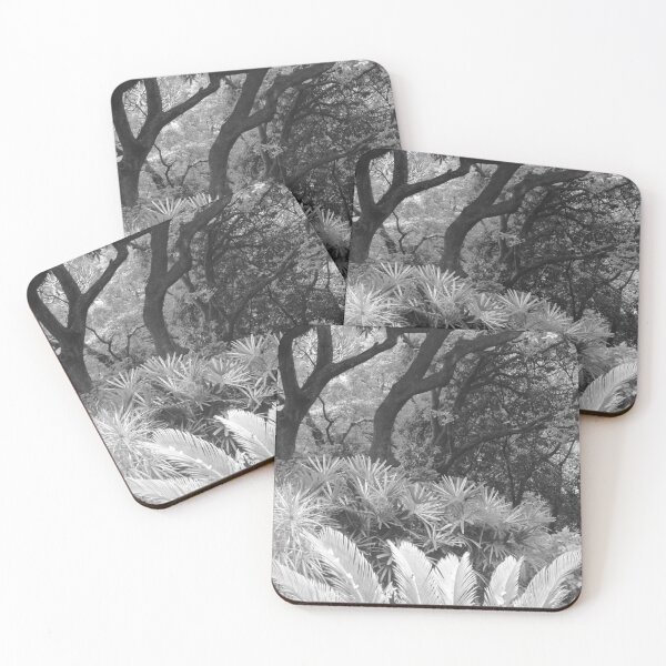 Item preview, Trees, Ferns and Foliage designed and sold by Anthony Macaluso.