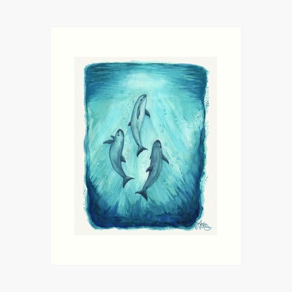 "Song of the Vaquita" watercolor painting by Amber Marine ~ (Copyright 2015) ~ (Porpoise, Critically Endangered Species) Art Print