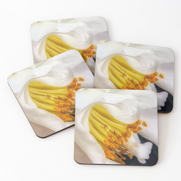 Item preview, White Camellia Elegance: Camellia Flower designed and sold by Amy Dundon.