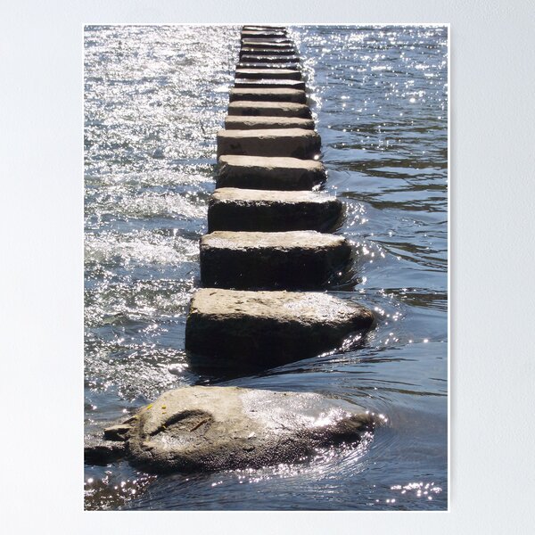 Item preview, Step designed and sold by ZASPHOTOS.