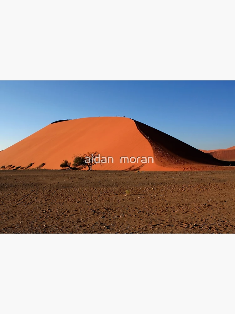 Namibian Red Sand Dunes by Aidan Moran