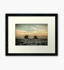 landscape Framed Print