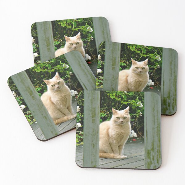 Item preview, Cat as Cool as a Cucumber designed and sold by Anthony Macaluso.