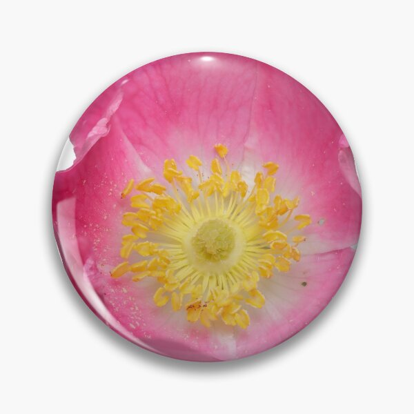 Item preview, wild roses  designed and sold by chanonry.