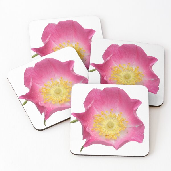 Item preview, wild roses  designed and sold by chanonry.
