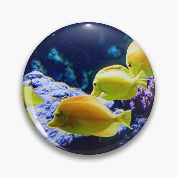 Item preview, Yellow Tangs Image By Rich AMeN Gill designed and sold by RichAMeNGill.