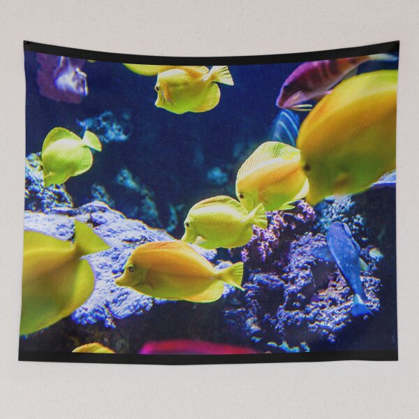 Item preview, Yellow Tangs Image By Rich AMeN Gill designed and sold by RichAMeNGill.