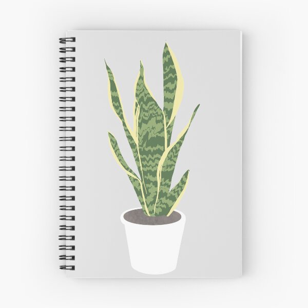 Item preview, Snake Plant Illustration  designed and sold by emilystp23.