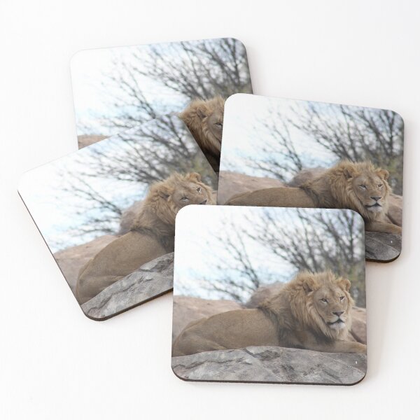 Item preview, King Lion  designed and sold by Jrw-Design.