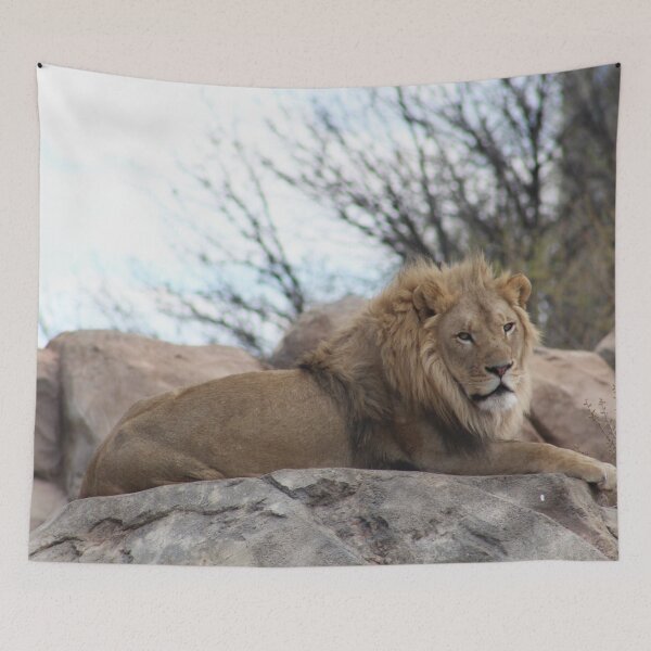 Item preview, King Lion  designed and sold by Jrw-Design.