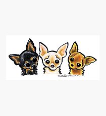 Smooth Chihuahua Trio Photographic Print