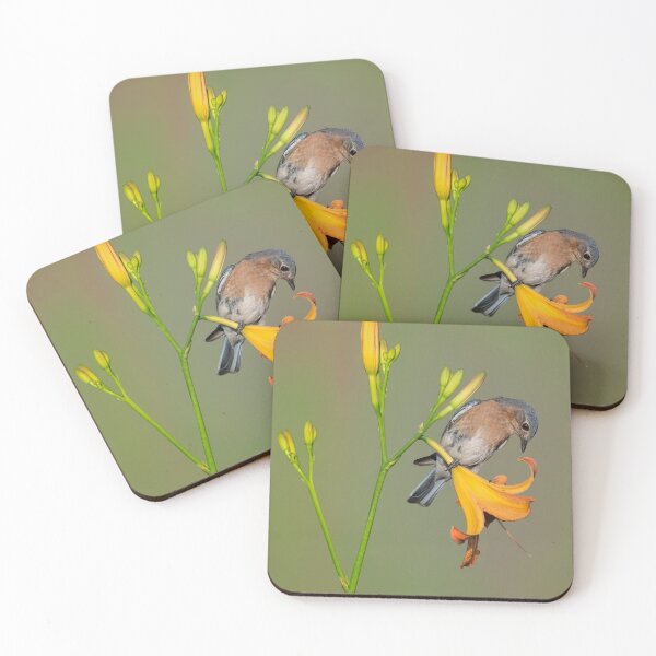 Item preview, Eastern Bluebird on Daylily designed and sold by (Tallow) Dave  Van de Laar.