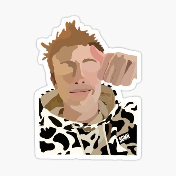 Harry W2S Sticker