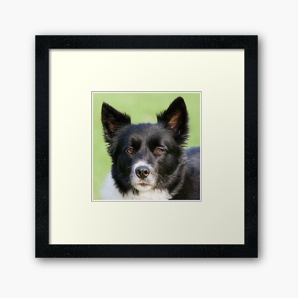 Portrait of Tammy Framed Art Print