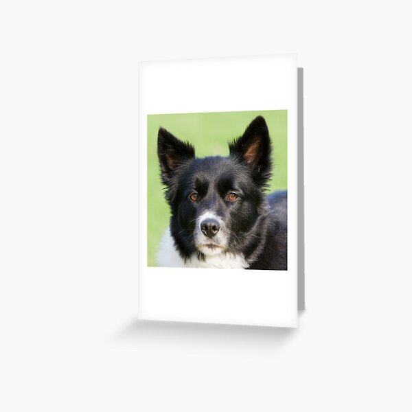 Portrait of Tammy Greeting Card
