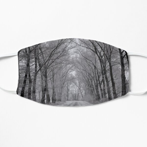 Poland Small Mask