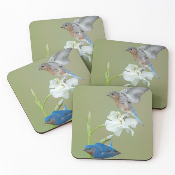 Item preview, Eastern Bluebirds on Iris designed and sold by (Tallow) Dave  Van de Laar.