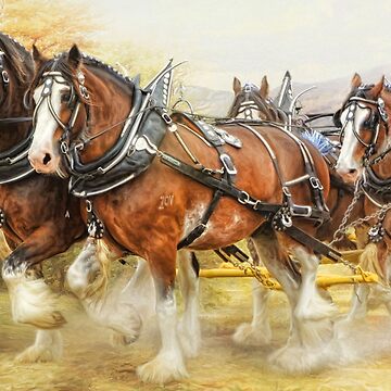Artwork thumbnail, Clydesdales in Harness by Trudi's Images