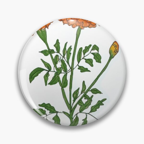 Artikelvorschau, Ringelblumen entworfen und verkauft von lcbeckert.