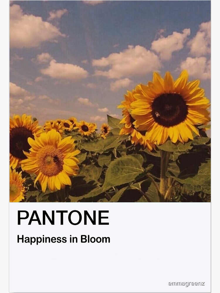 "pantone happiness in bloom" Sticker by emmagreenz Redbubble