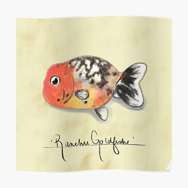 Ranchu Goldfish Poster