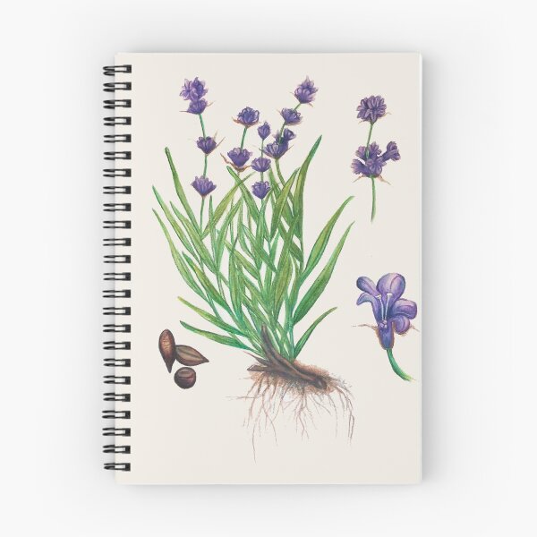 Item preview,  El dibujo original se realizó a partir de la observación con lápiz Prismacolor en un jardín botánico. designed and sold by BlueCatPress.