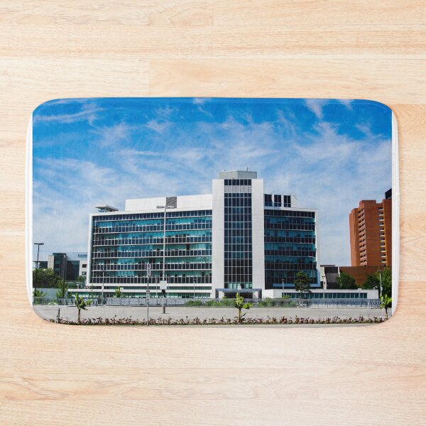 Item preview, Hamilton City Hall South Face designed and sold by SRosuphotos.