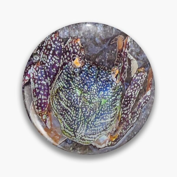 Item preview, Best fishing gifts for fish lovers 2022. Crab camouflaged against rocks on the beach designed and sold by Artonmytee.