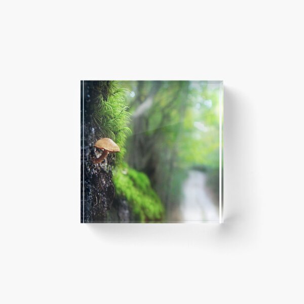 Item preview, Mushroom along the path designed and sold by Kristina Gale.