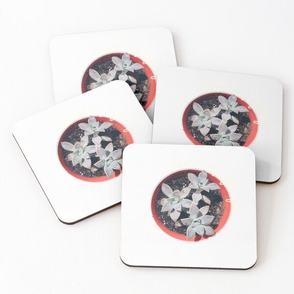 Item preview, Succulent Grow as you go designed and sold by AlishaMSchil.