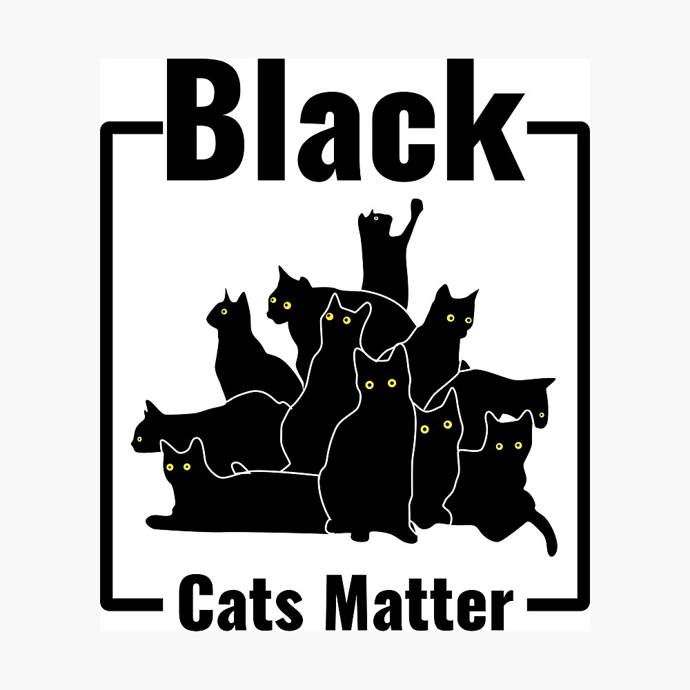 Black Cats Matter